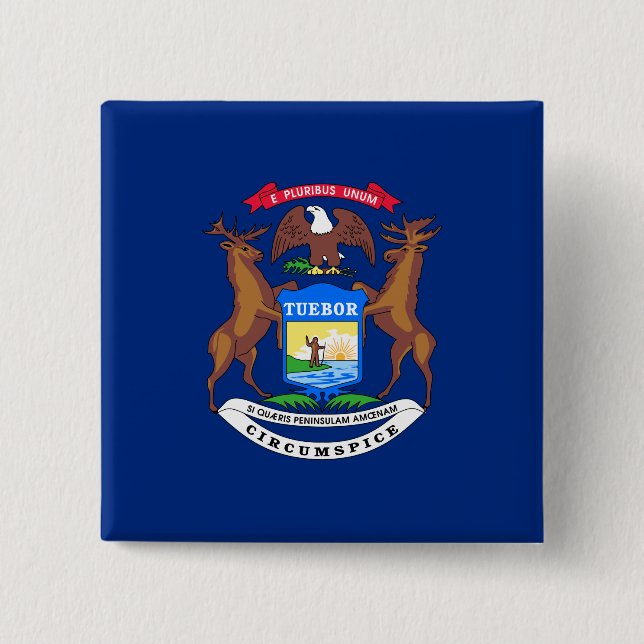 Staat der Michigan-Flagge Button (Vorderseite)