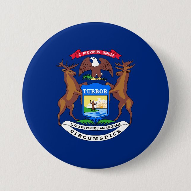 Staat der Michigan-Flagge Button (Vorderseite)