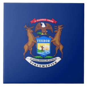 Staat der Michigan-Flagge Fliese