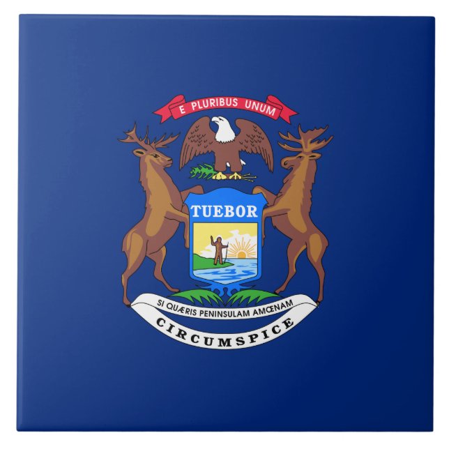 Staat der Michigan-Flagge Fliese (Vorderseite)
