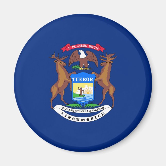 Staat der Michigan-Flagge Magnet (Vorne)