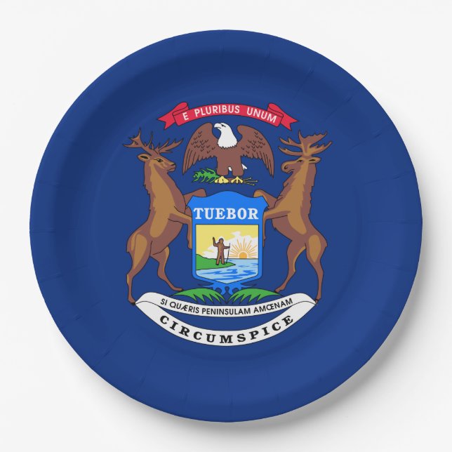Staat der Michigan-Flagge Pappteller (Vorderseite)