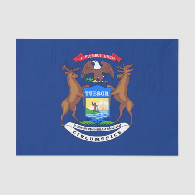 Staat der Michigan-Flagge Seidenpapier (Vorderseite)