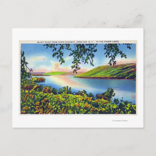Staat Hwy View of Bluff Point Postkarte (Vorderseite)