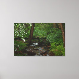 Staat Parco Civico-Ciani Leinwanddruck