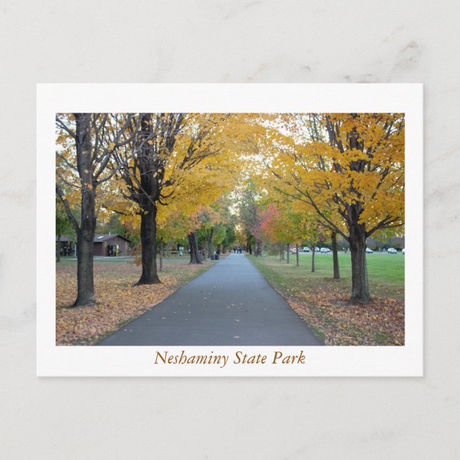 Staat Park Herbst Neshaminy Postkarte (Vorderseite)