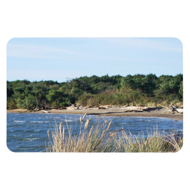 Staat Park Nehalem Magnet (Horizontal)