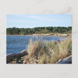 Staat Park Nehalem Postkarte