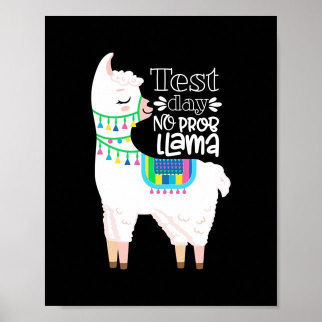 Staat-Testtag für Lehrer No Prob Poster (Vorne)