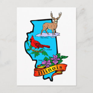 Staat von Illinios Geschenke und T-Shirts Postkarte