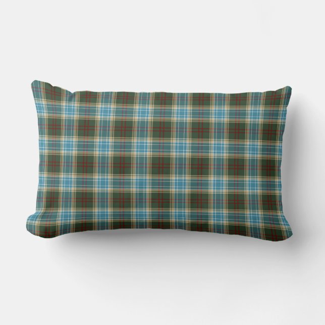 Staat von Michigan Tartan Lendenkissen (Vorderseite)
