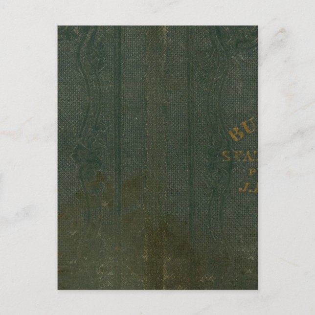 Staat von New York durch DH Burr 2 Postkarte (Vorderseite)