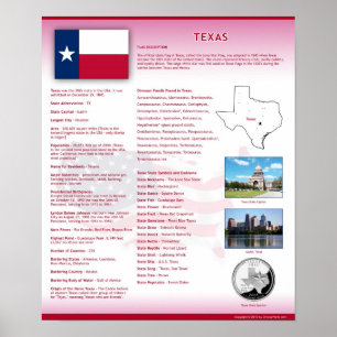 Staat von Texas, TX Poster