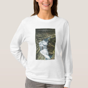 Staats-Park-Ansicht der Diamant-Fälle T-Shirt