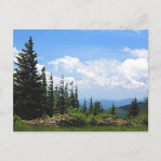 Staats-Park Mt. Mithcell Postkarte