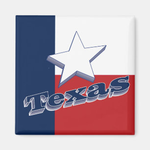 Staats-Reise-Andenken-Kühlschrankmagnet Texas USA Magnet