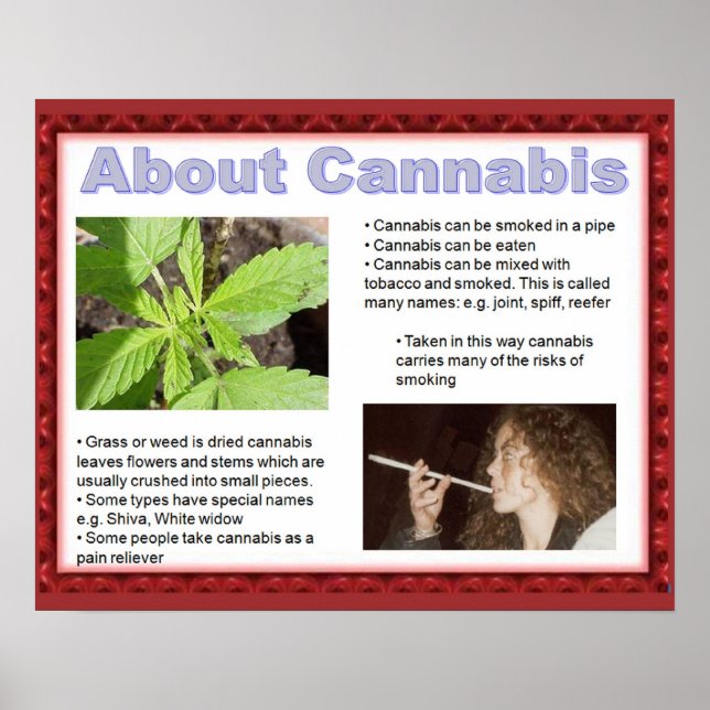 Staatsbürgerschaft, Lebenskompetenz sagen einfach  Poster (Vorne)