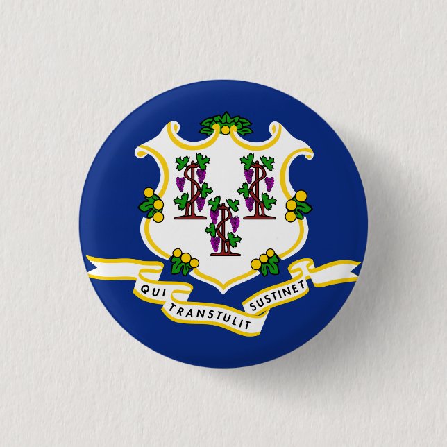 Staatsflagge Connecticut Button (Vorderseite)
