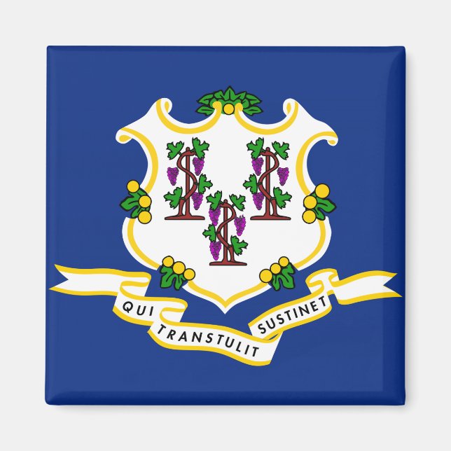 Staatsflagge Connecticut Magnet (Vorne)
