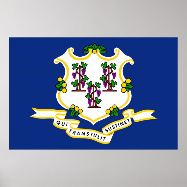 Staatsflagge Connecticut Poster (Vorne)