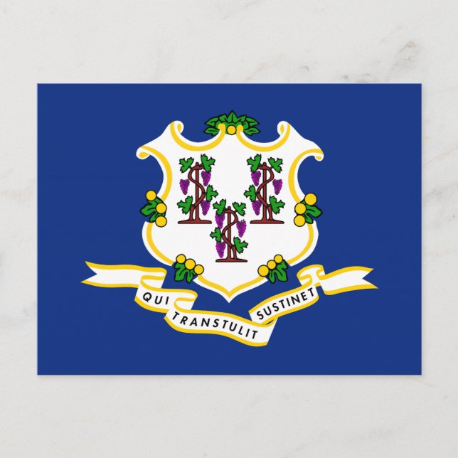 Staatsflagge Connecticut Postkarte (Vorderseite)