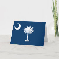 Staatsflagge in South Carolina