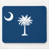 Staatsflagge in South Carolina