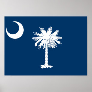 Staatsflagge in South Carolina Poster