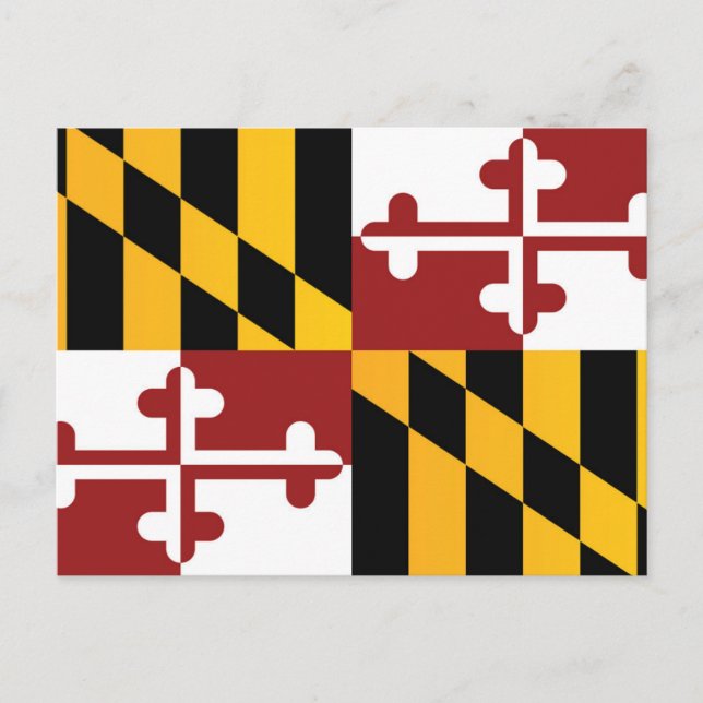 Staatsflagge Maryland, USA Postkarte (Vorderseite)