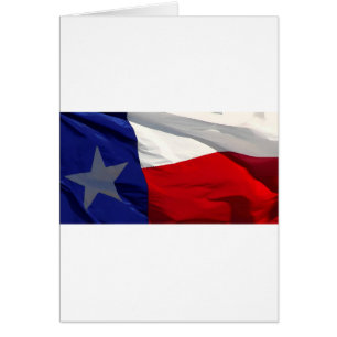 Staatsflagge Texas
