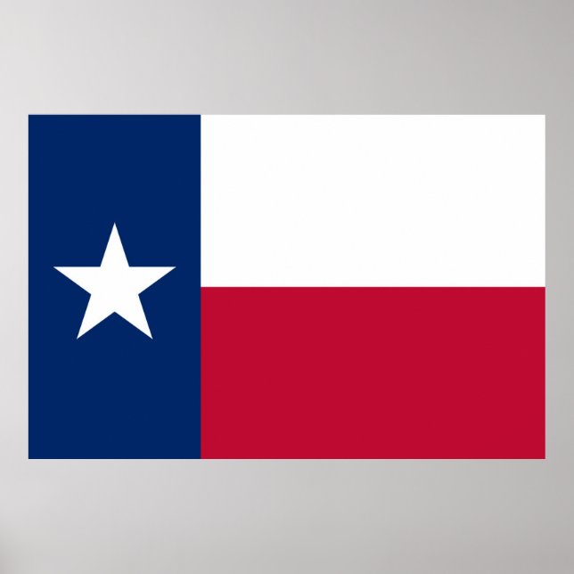 Staatsflagge Texas Poster (Vorne)
