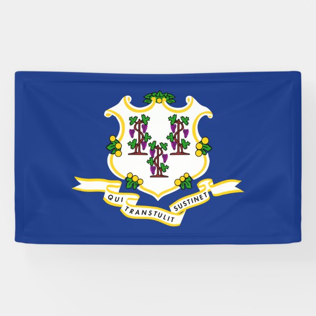 Staatsflagge von Connecticut Banner (Horizontal)