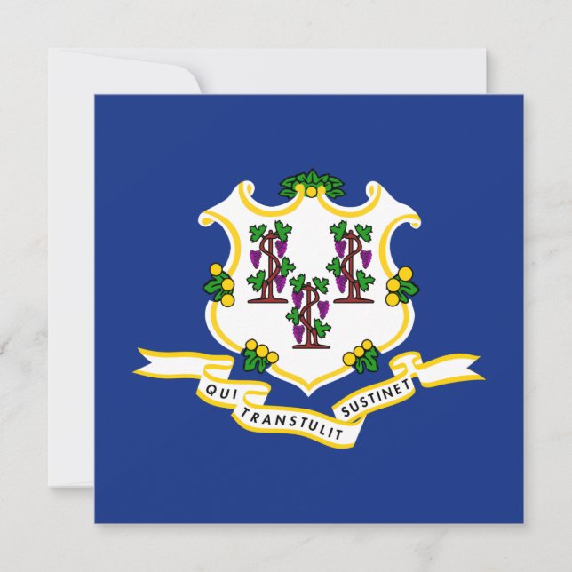 Staatsflagge von Connecticut Karte (Vorderseite)