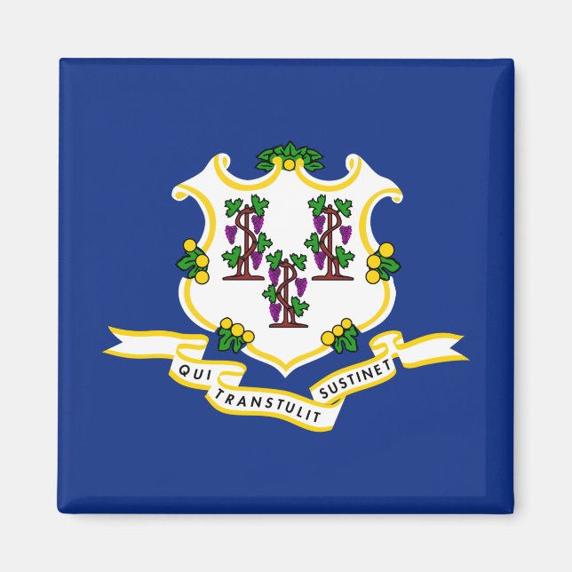 Staatsflagge von Connecticut Magnet (Vorne)