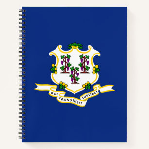 Staatsflagge von Connecticut Notizbuch