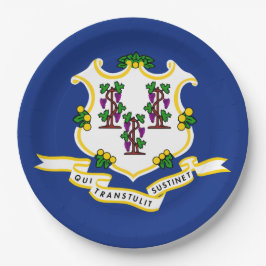 Staatsflagge von Connecticut Pappteller