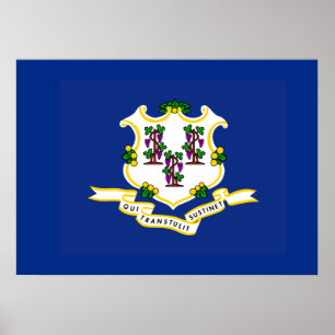 Staatsflagge von Connecticut Poster