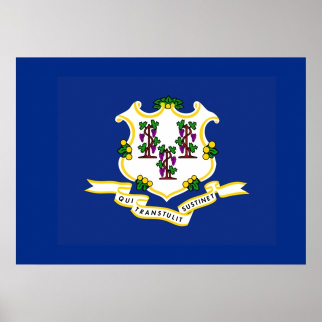 Staatsflagge von Connecticut Poster (Vorne)