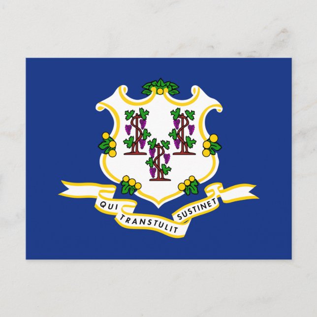 Staatsflagge von Connecticut Postkarte (Vorderseite)