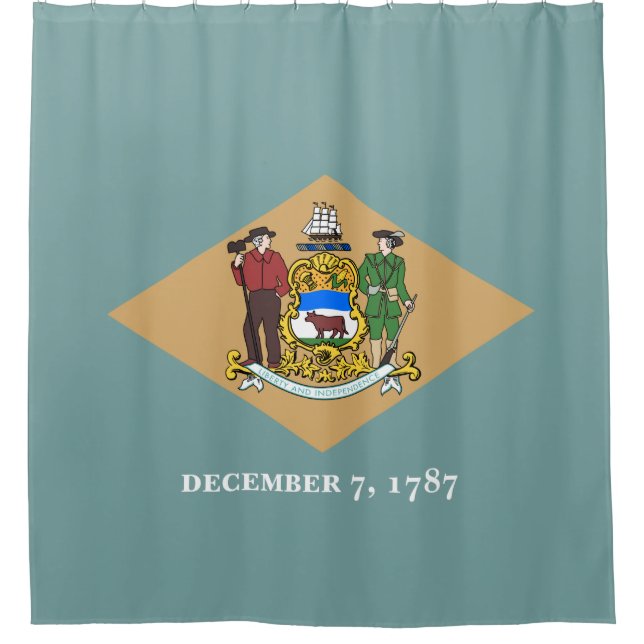 Staatsflagge von Delaware (DE, USA) Duschvorhang (Vorderseite)