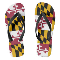 Staatsflagge von Maryland
