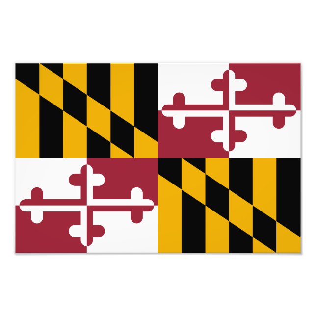 Staatsflagge von Maryland Fotodruck (Vorne)
