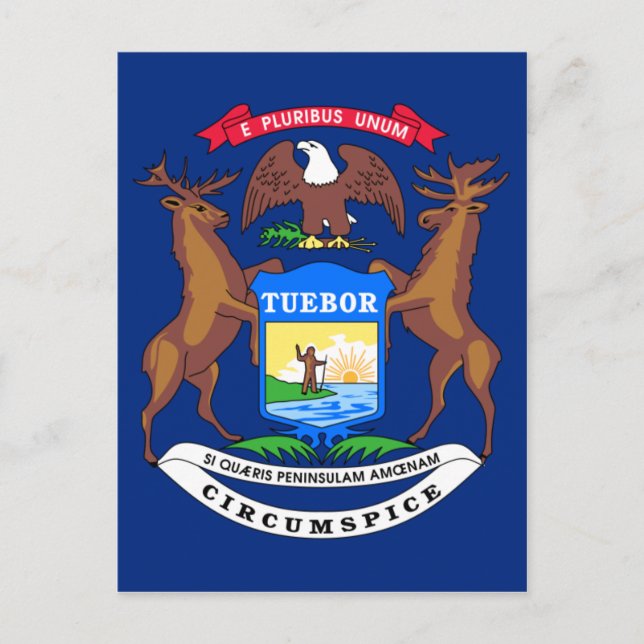Staatsflagge von Michigan Postkarte (Vorderseite)