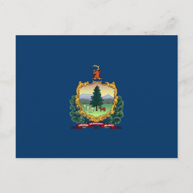 Staatsflagge von Vermont Postkarte (Vorderseite)