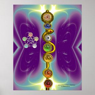 STAB DES ASKLEPIOS 7 CHAKREN, YOGA, SPIRITUELLE EN POSTER
