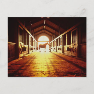 Stabile Hände Postkarte