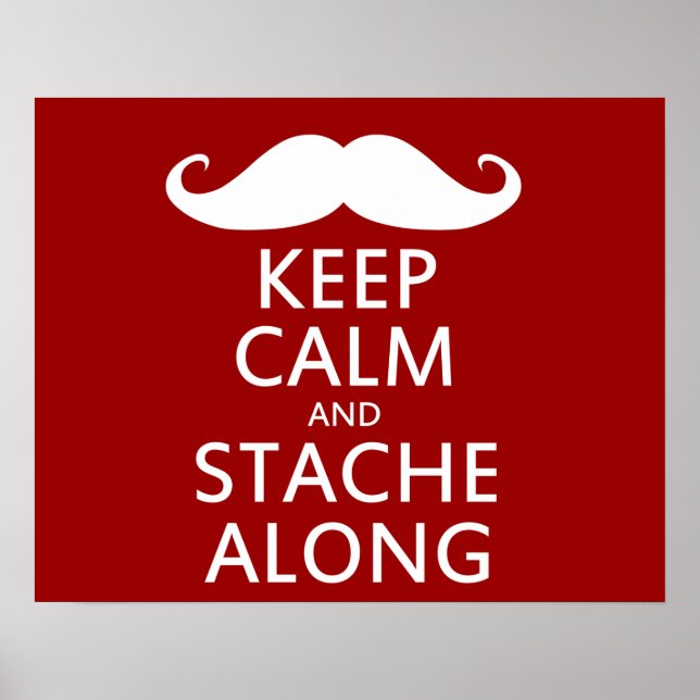 Stache Along Poster (Vorne)