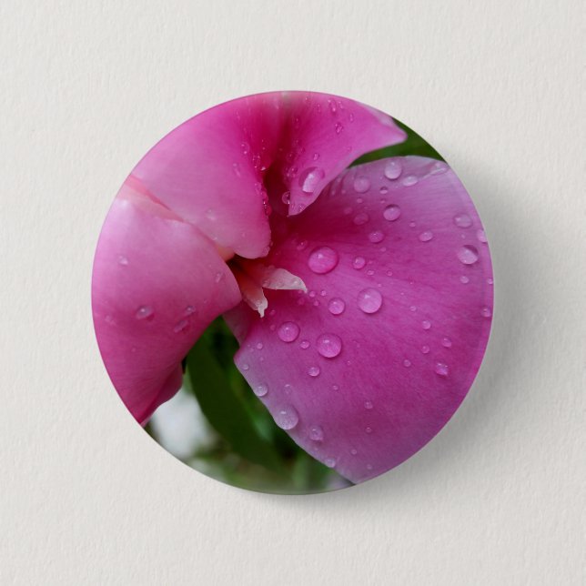Stachelblatt im Regen Button (Vorderseite)