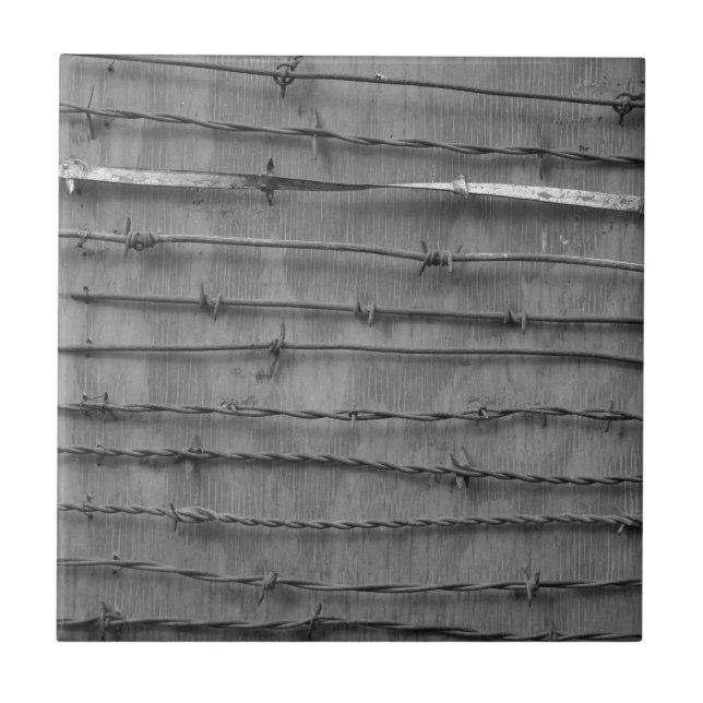 Stacheldraht Fliese (Vorderseite)