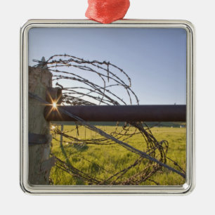 Stacheldraht gerollt oben auf fencerow nahe ornament aus metall